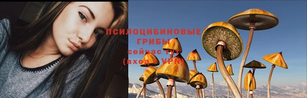 бошки Армянск