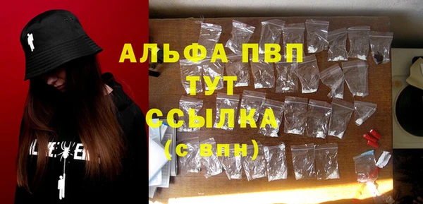 шишки Аркадак