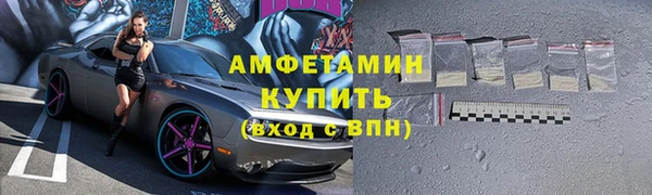 шишки Аркадак